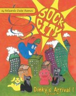 Sock City Dinky's Arrival