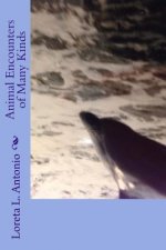 Animal Encounters of Many KInds