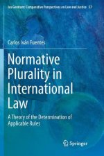 Normative Plurality in International Law