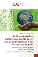 La financiarisation énergétique en Afrique et le plan de mobilisation des ressources internes