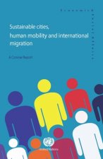 Sustainable cities, human mobility and international migration