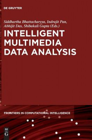 Intelligent Multimedia Data Analysis