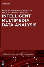 Intelligent Multimedia Data Analysis