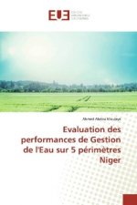 Evaluation des performances de Gestion de l'Eau sur 5 périm?tres Niger