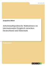 Arbeitsmarktpolitische Maßnahmen im internationalen Vergleich zwischen Deutschland und Dänemark