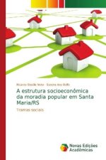 A estrutura socioeconômica da moradia popular em Santa Maria/RS
