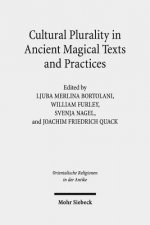 Cultural Plurality in Ancient Magical Texts and Practices