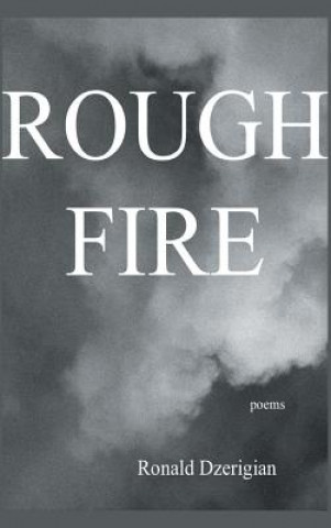 Rough Fire