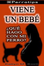 @perrotips: Viene Un Bebé ?qué Hago Con Mi Perro?