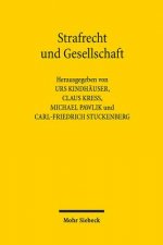 Strafrecht und Gesellschaft