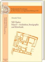 Tell Chuera: Palast F - Architektur, Stratigraphie und Kleinfunde