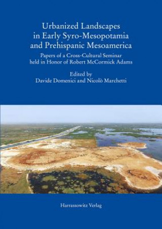 Urbanized Landscapes in Early Syro-Mesopotamia and Prehispanic Mesoamerica