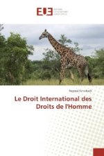 Le Droit International des Droits de l'Homme