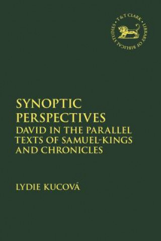 Synoptic Perspectives