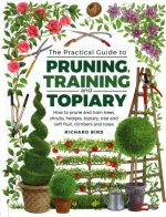Practical Guide to Pruning, Training and Topiary
