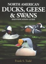 North American Ducks, Geese and Swans