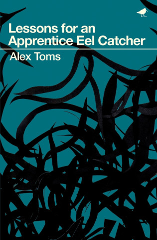 Lessons for an Apprentice Eel Catcher