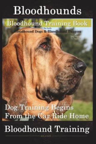 Bloodhounds, Bloodhound Training Book for Both Bloodhound Dogs & Bloodhound Puppies by D!g This Dog Training: Dog Training Begins from the Car Ride Ho