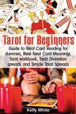 Tarot for Beginners: Guide to Tarot Card Reading for Dummies - Real Tarot Card Meanings - Tarot Workbook - Tarot Divination Spreads and Sim