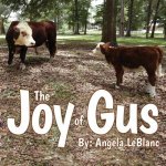 Joy of Gus