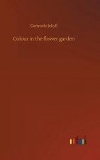 Colour in the flower garden