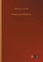 Shapes and Shadows