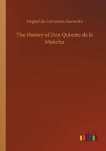 History of Don Quixote de la Mancha