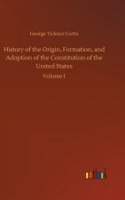 History of the Origin, Formation, and Adoption of the Constitution of the United States