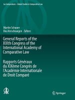 General Reports of the XIXth Congress of the International Academy of Comparative Law Rapports Generaux du XIXeme Congres de l'Academie Internationale