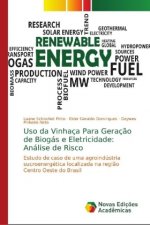 Uso da Vinhaca Para Geracao de Biogas e Eletricidade