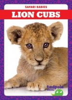 Lion Cubs