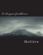 Le Bourgeois Gentilhomme