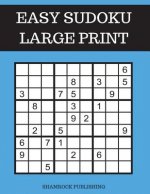 Easy Sudoku Puzzle Books Large Print