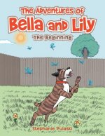 Adventures of Bella and Lily