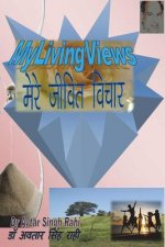My Living Views