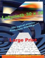 Labyrinth 30 X 30 - 250 Logical Puzzles - First-Class Sudoku: Large Print + Solutions + Bonus 250 Classic Killer Sudoku Puzzles Anti-Diagonal - Levels