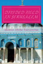 Divided Field in Jerusalem