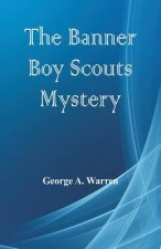 Banner Boy Scouts Mystery