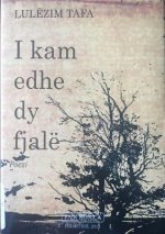I Kam Edhe Dy Fjale