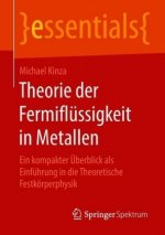 Theorie der Fermiflussigkeit in Metallen