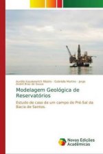 Modelagem Geologica de Reservatorios