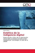 Estetica de la indigencia digital