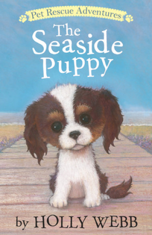 Seaside Puppy