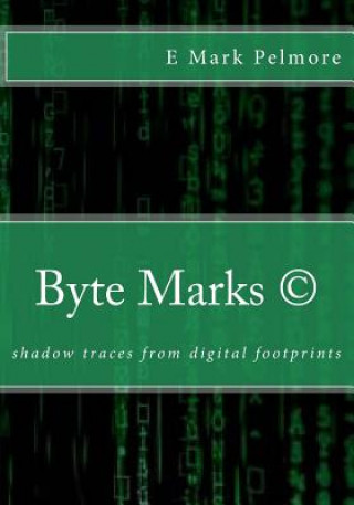 Byte Marks: shadow traces from digital footprints