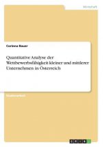 Quantitative Analyse der Wettbewerbsfähigkeit kleiner und mittlerer Unternehmen in Österreich