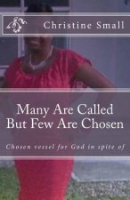 Many Are Called But Few Are Chosen: Chosen vessel for God in spite of