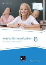 mathe.delta BY Schulaufgaben 6, m. 1 Buch