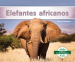 Elefantes Africanos (African E
