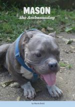 Mason the Ambassadog