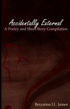 Accidentally External: A Poetry and Short Story Compilation